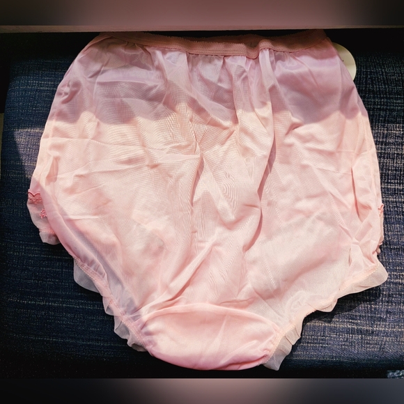 Vintage NWT Plymouth undies nylon tricot sheer ruffle full coverage panties - Picture 4 of 6